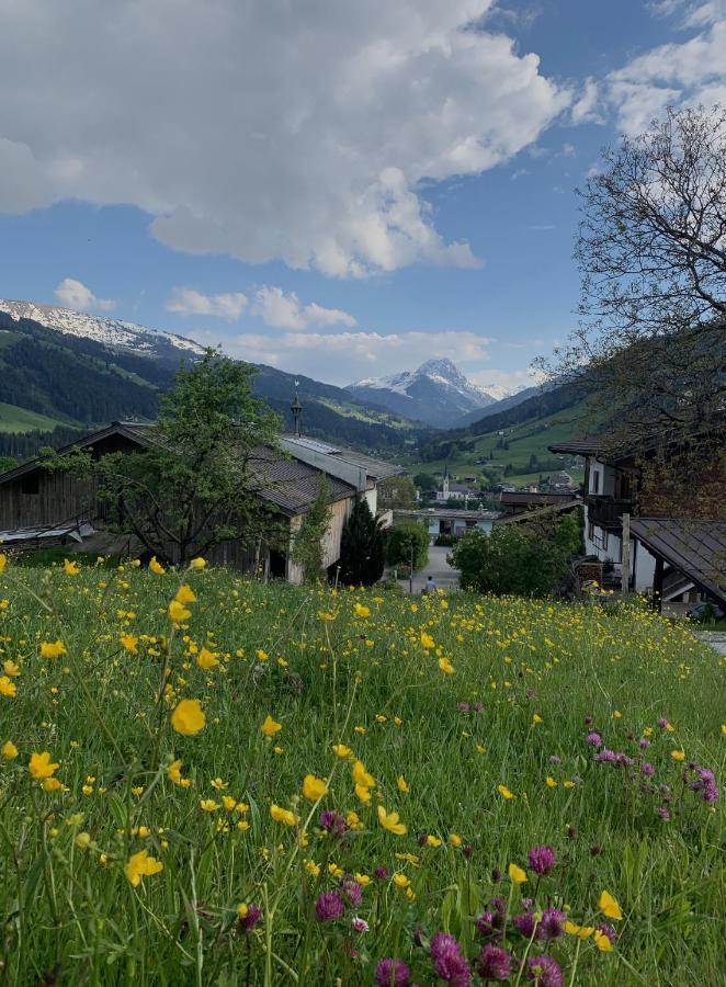Hotel Garni Wieshof Kirchberg in Tirol Exterior photo